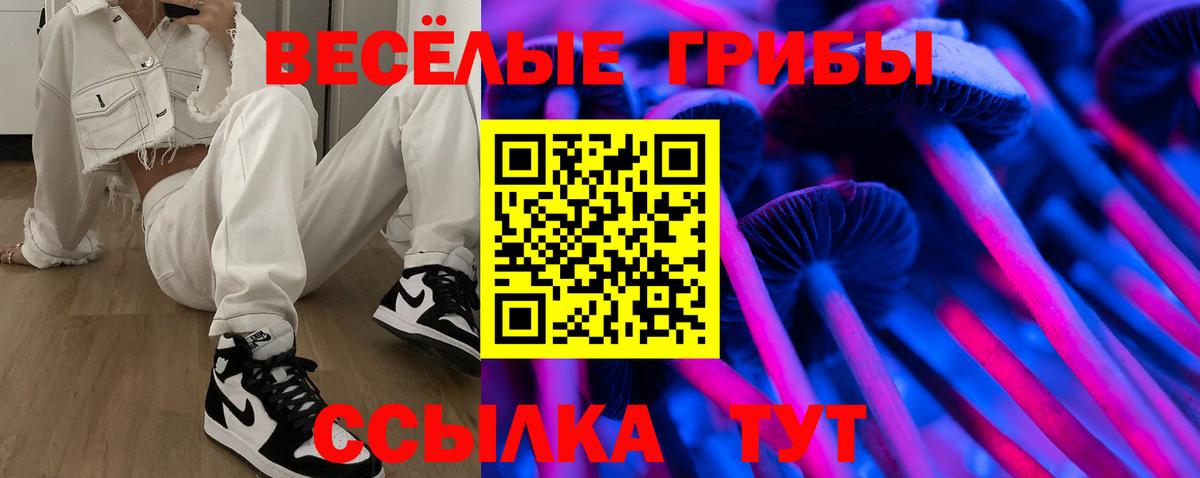 Псилоцибиновые грибы Cubensis  Вход с VPN  Псилоцибиновые грибы MAGIC MUSHROOMS  Звенигород 